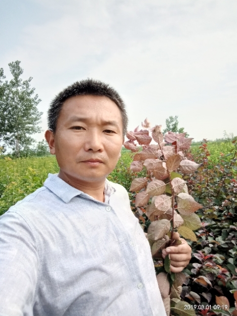 孩子爸的第二张照片--新沂认干亲服务网